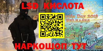 круглые Камышлов